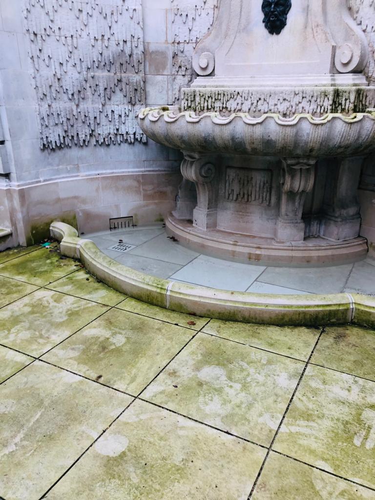 LTP Blackspot & Algae Remover Before
