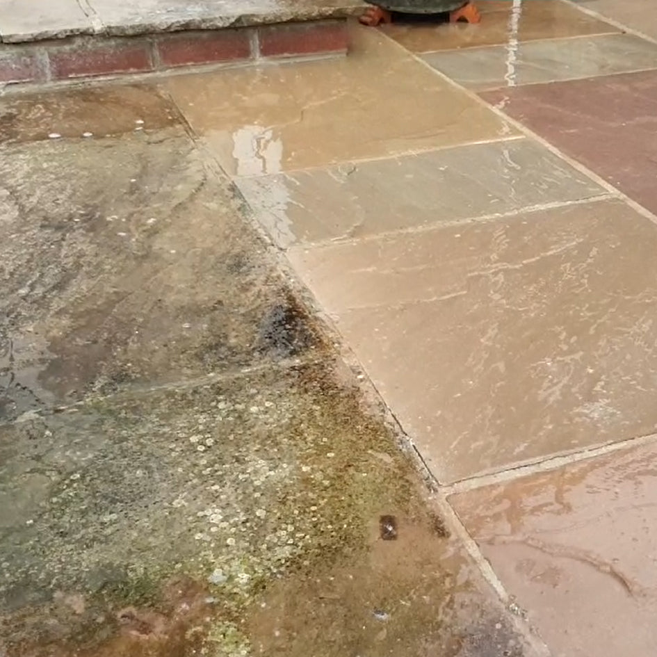 LTP Blackspot & Algae Remover